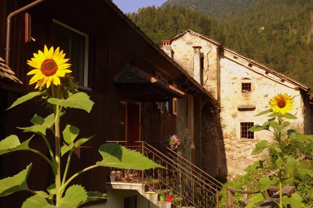 Di Baut Hotel Ovaro Exterior foto
